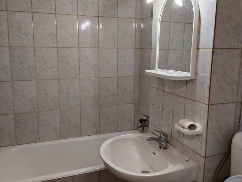 Theodor Pallady, Nicolae Grigorescu,